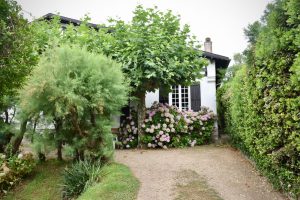 house and tree