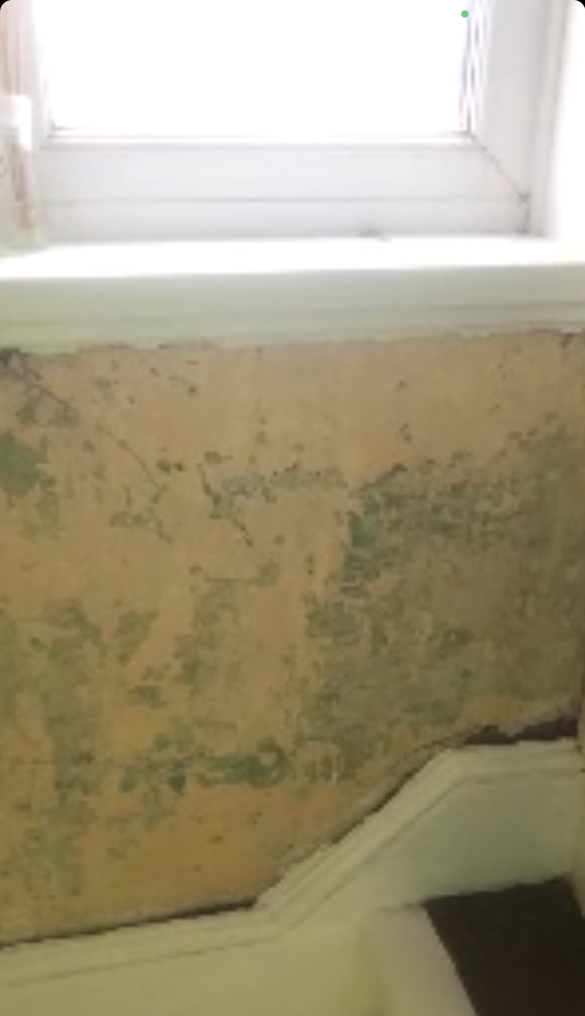 cracks in house wall plymouth devon