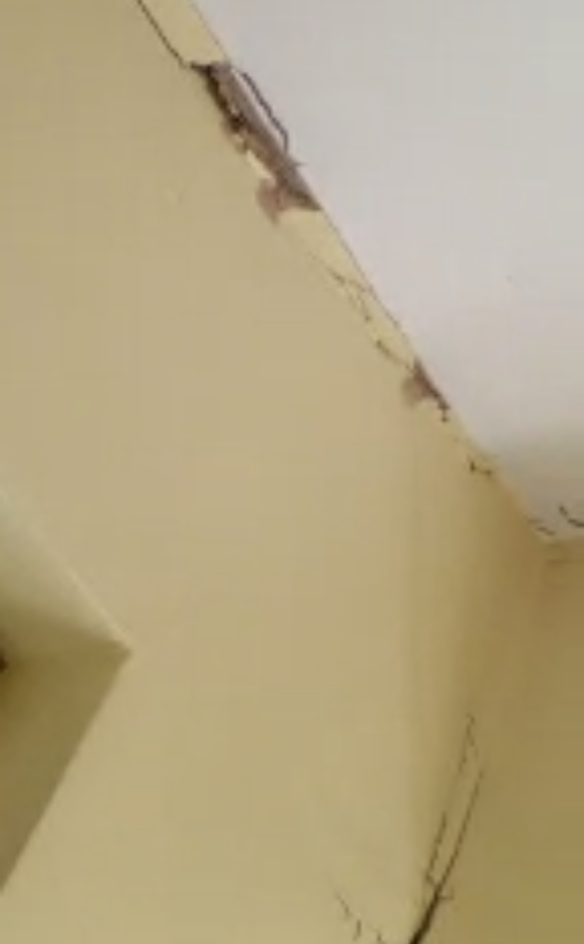 cracks in house wall coventry warwickshire