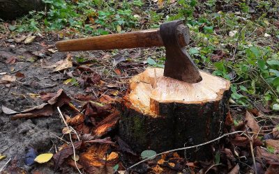 Double-counting subsidence claims – and the effect that has on policy premiums